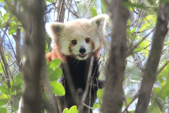 Wellington Zoo